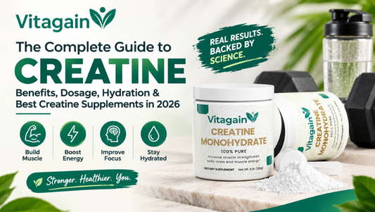 Best Creatine Supplements in 2026