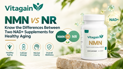 NMN vs NR: Know the Differences Between Two NAD+ Supplements for Healthy Aging
