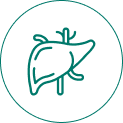 Optimal Liver Function