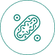 Mitochondria